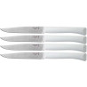 JUEGO DE CUCHILLOS DE MESA MICRODENTADOS Nº125 OPINEL 001904