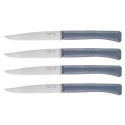JUEGO DE CUCHILLOS DE MESA MICRODENTADOS Nº125 OPINEL 001907