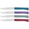 JUEGO DE CUCHILLOS DE MESA MICRODENTADOS Nº125 OPINEL 002197
