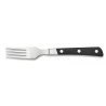 TENEDOR DE MESA TOP CUTLERY 17434