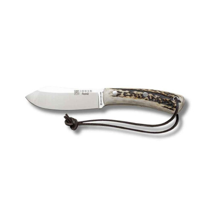 Cuchillo de SUPERVIVENCIA "NESSMUK CIERVO"  JOKER CC136