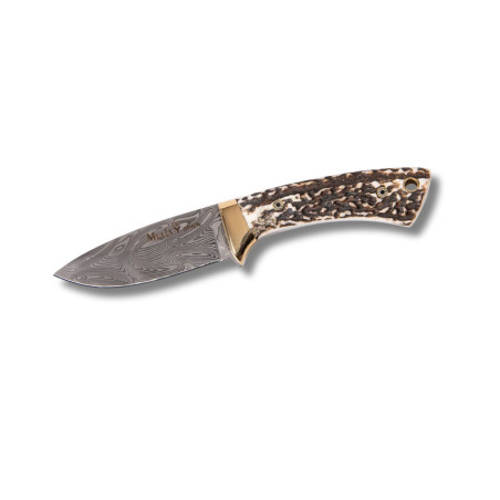CUCHILLO DE LUJO "COLIBRI-7DAM" MUELA