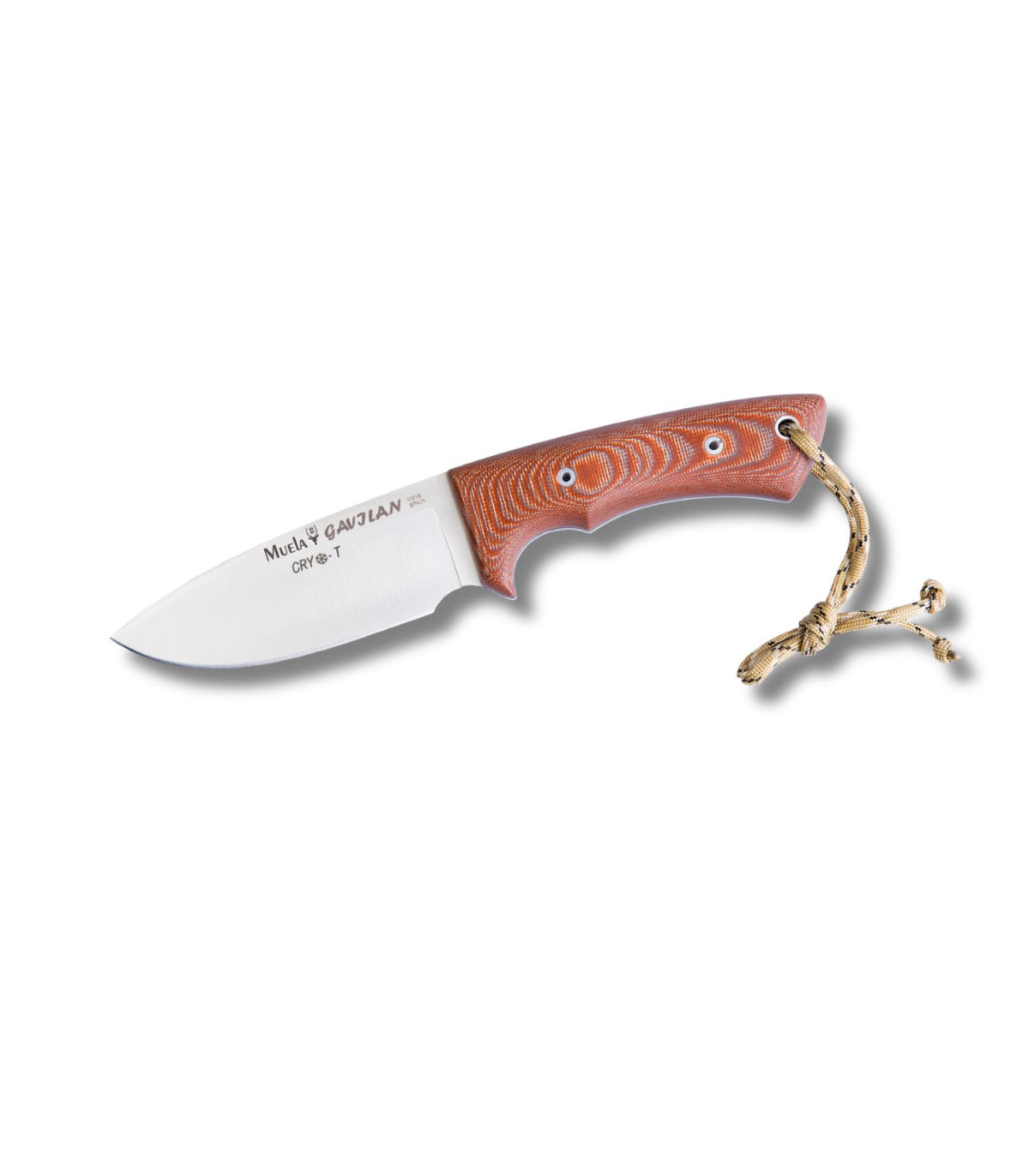 CUCHILLO DE SUPERVIVENCIA "GAVILAN C" MUELA