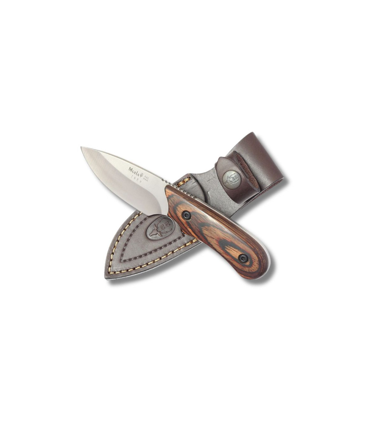 CUCHILLO ENTERIZO DESOLLADOR "IBEX-8R" MUELA A