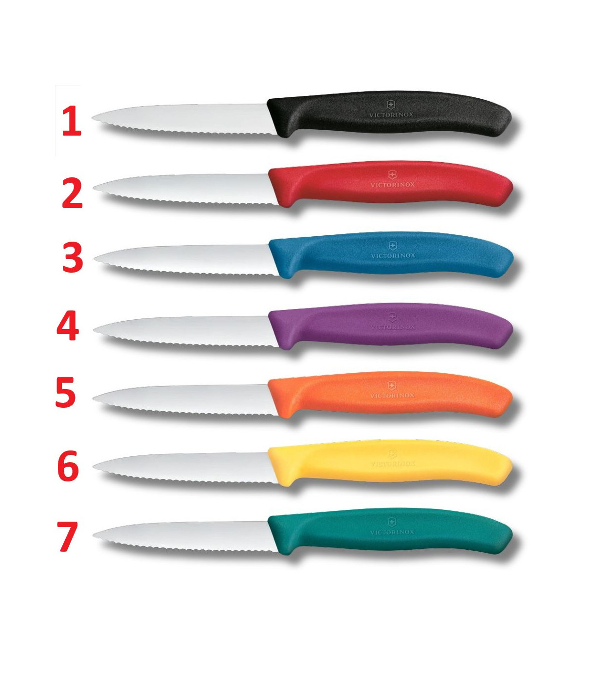 Cuchillo para verdura FILO SERRADO 8 cm "SWISS CLASSIC" VICTORINOX 6.7633