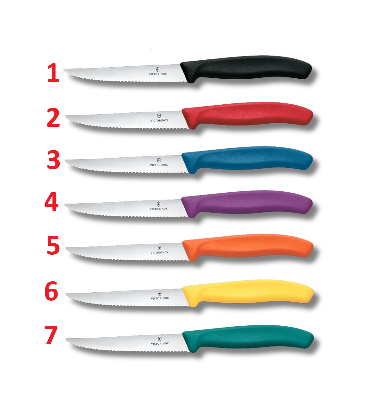Cuchillo de MESA SWISS CLASSIC VICTORINOX 6.7233