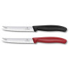 CUCHILLO PARA QUESO SWISS CLASSIC VICTORINOX 6.7863