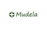 ARTE MUDELA