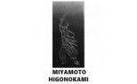 MIYAMOTO HIGONOKAMI